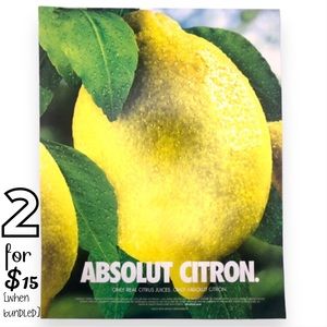🟢[Absolut Vodka] ABSOLUT CITRON Original 2002 Vintage Magazine Advertisement
